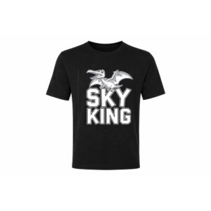 Kids Tee — Sky King